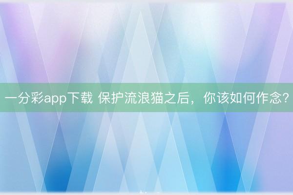 一分彩app下載 保護流浪貓之后，你該如何作念?
