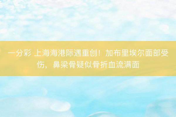 一分彩 上海海港際遇重創！加布里埃爾面部受傷，鼻梁骨疑似骨折血流滿面