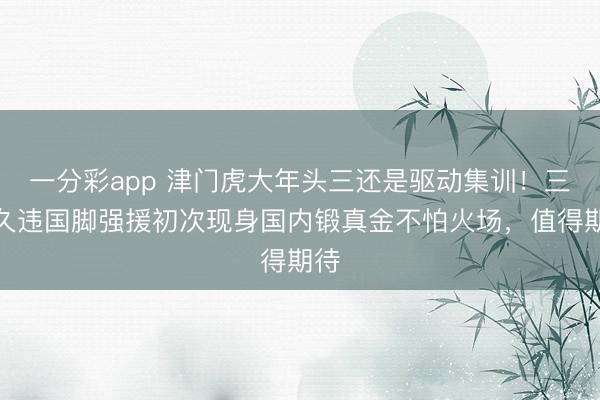 一分彩app 津門虎大年頭三還是驅動集訓！三位久違國腳強援初次現身國內鍛真金不怕火場，值得期待