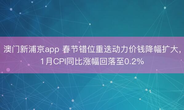 澳門新浦京app 春節錯位重迭動力價錢降幅擴大，1月CPI同比漲幅回落至0.2%